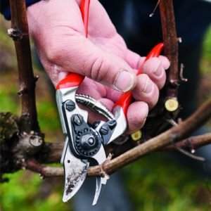 Rebschere für präzisen Rebschnitt und Gartenarbeiten