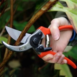 Gartenschere für präzisen und sauberen Pflanzenschnitt